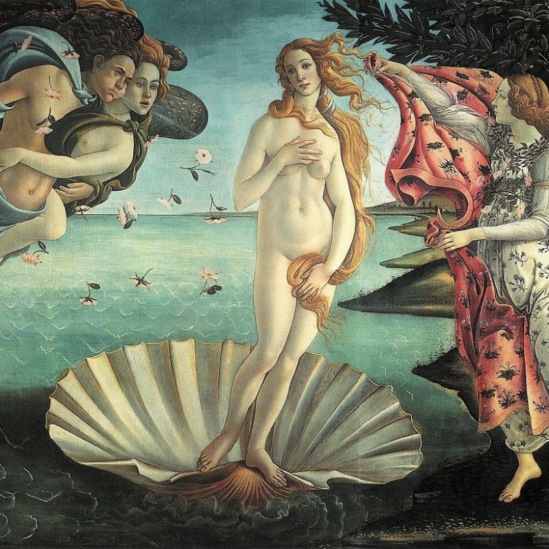 La Venere Chiara riduce Botticelli a tormentone social