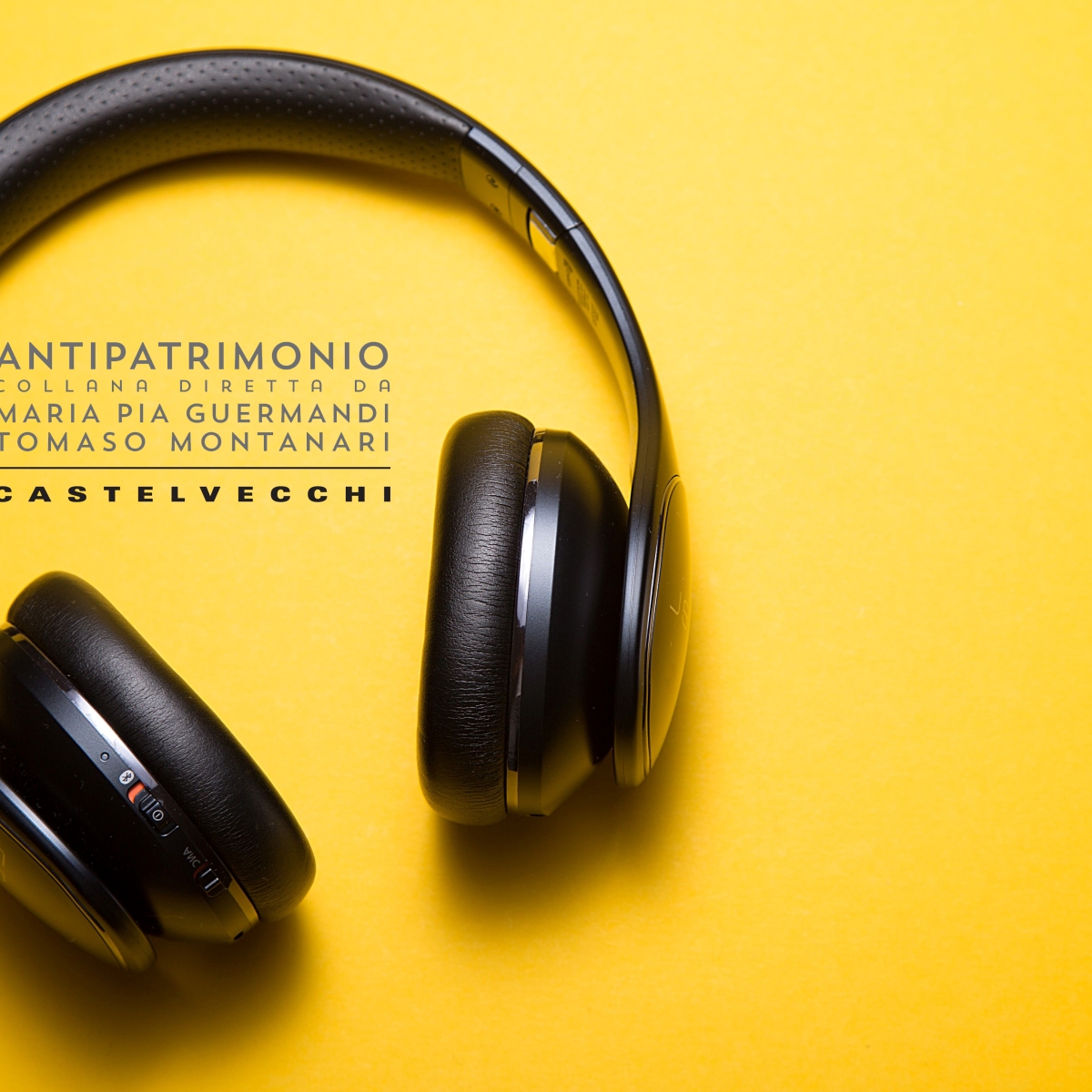 Antipatrimonio: cosa c’è che non va nella gestione del nostro patrimonio culturale? Ascolta il podcast