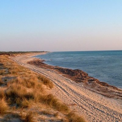 Il mare senza padroni